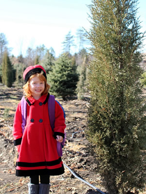 About Double Bar Pine Nursery in Alta Vista, KS